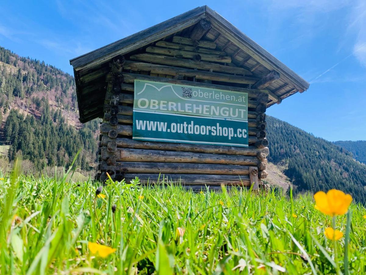 Alpen Appartements Oberlehengut Werfenweng Exterior photo