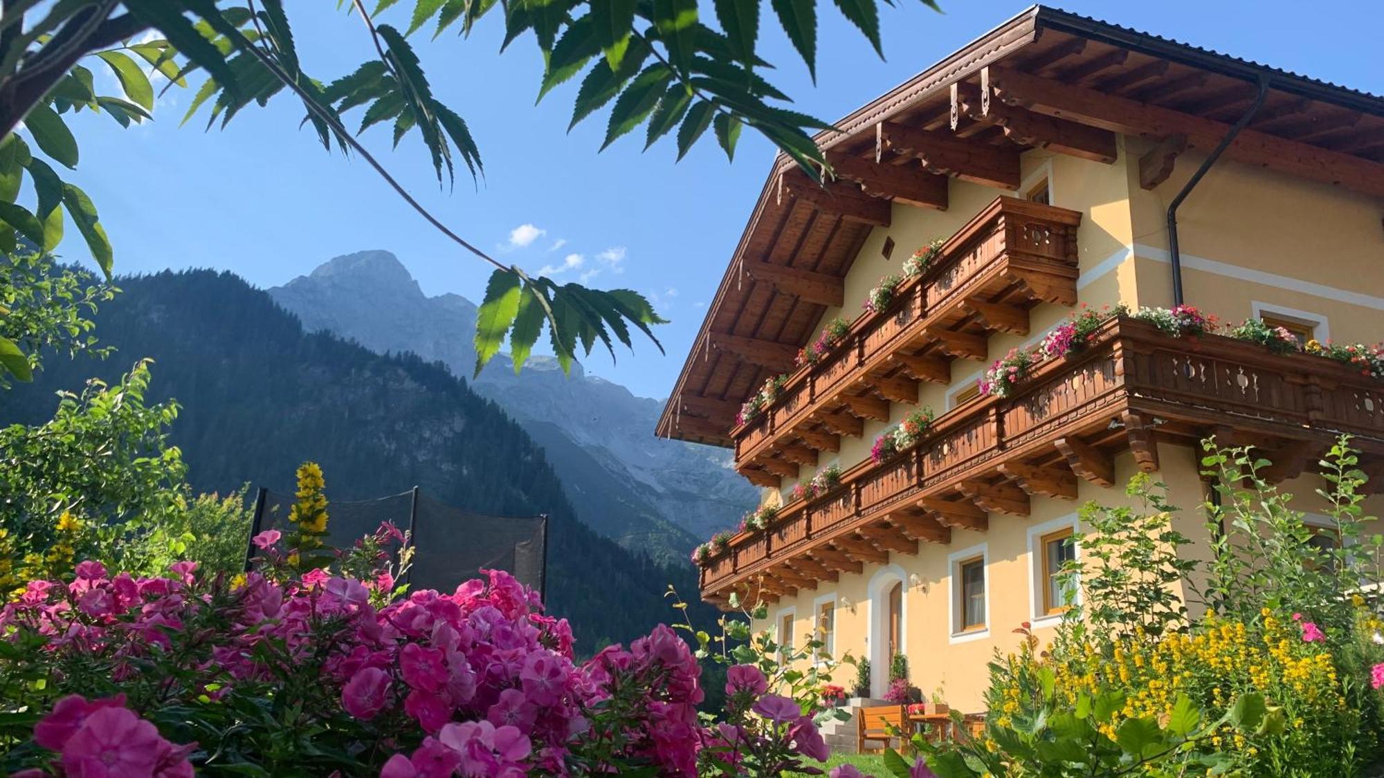 Alpen Appartements Oberlehengut Werfenweng Exterior photo